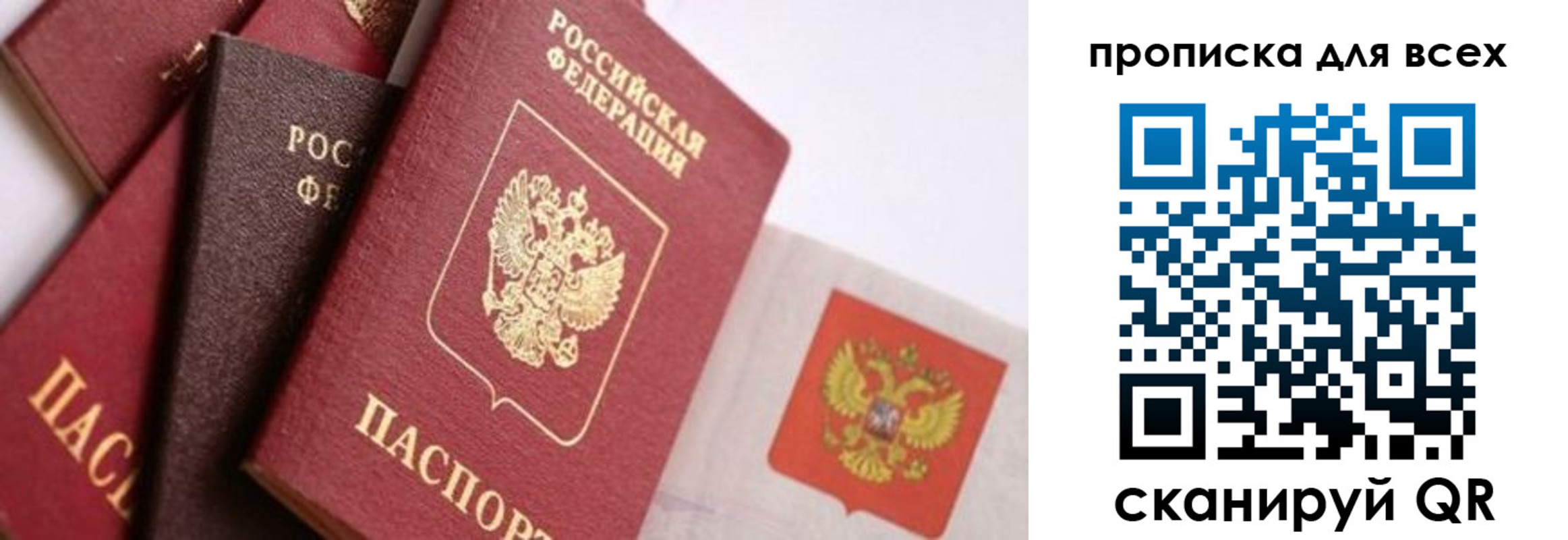 временная регистрация поиск в Михайловске